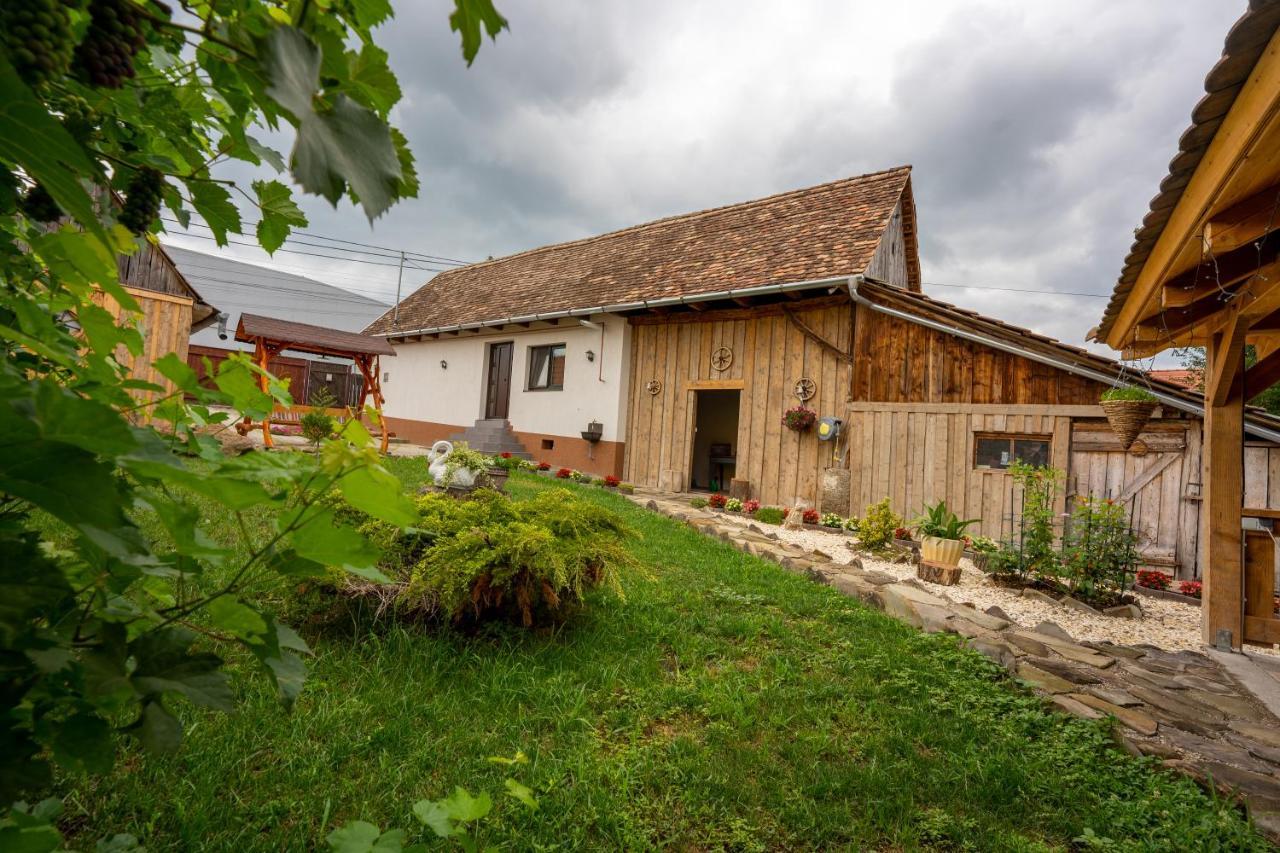 Willa Casa Rustik Daneş Zewnętrze zdjęcie